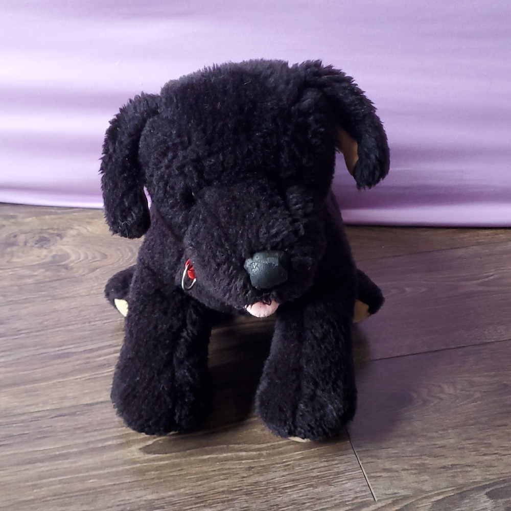 🌞  BABW Lab (Labradoodle ?) Plush